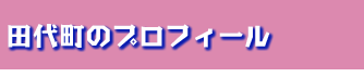c㒬̃vtB[