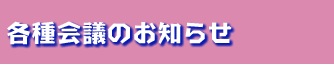 eĉm点