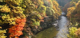 長木渓流の写真