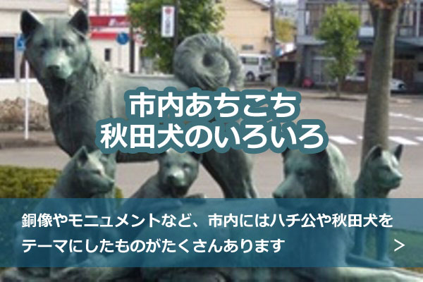 画像：市内あちこち秋田犬のいろいろ