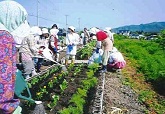 写真：地域活動1