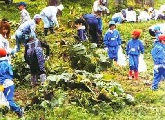 写真：地域活動3