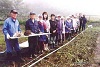 写真：地域活動7