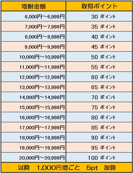 寄附額ごとの取得ポイント表.jpg