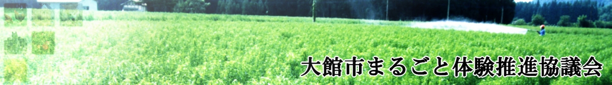 写真:景色