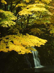 写真：秋の長木川の上流の風景