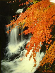 写真：秋の長木川の上流