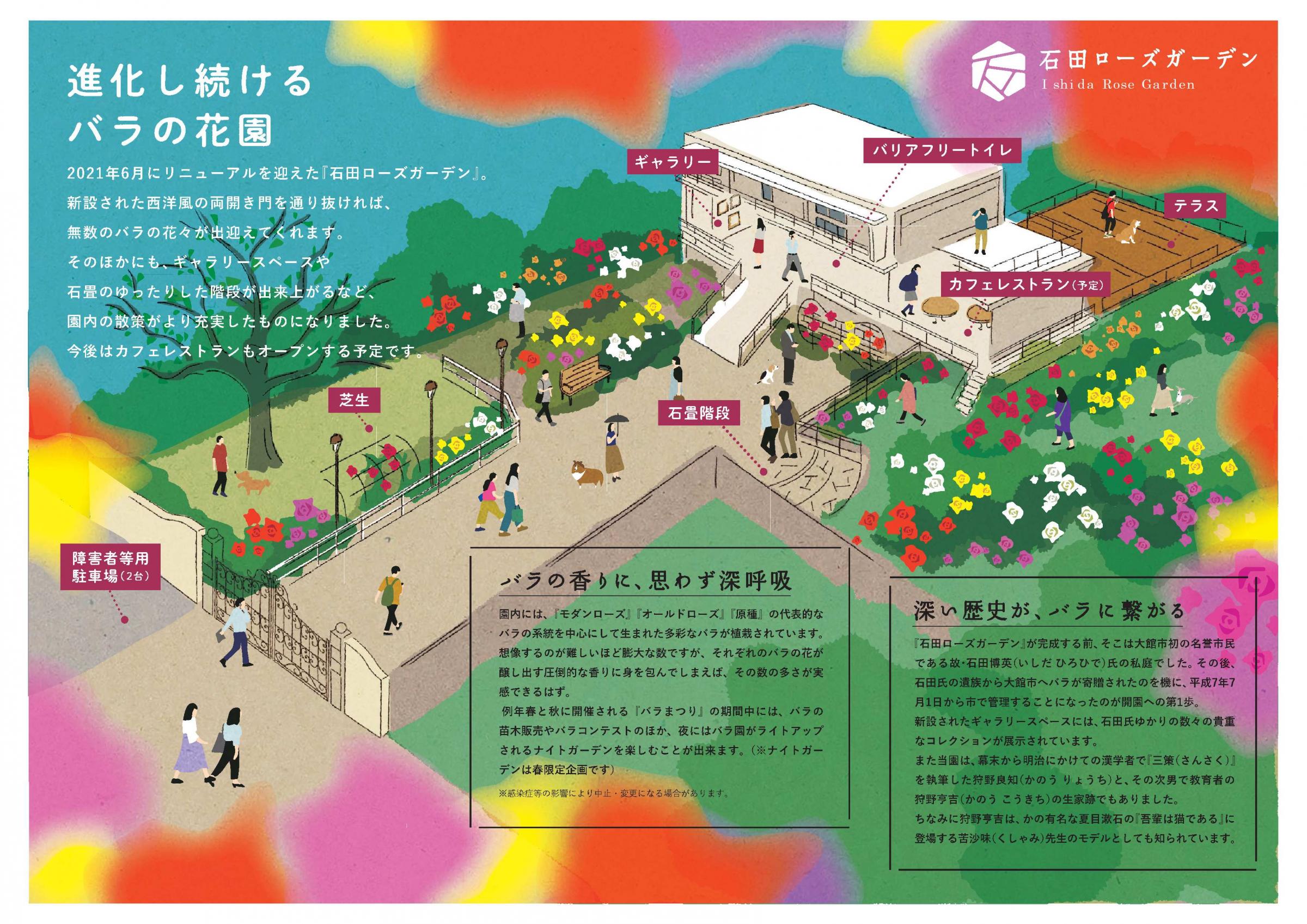 大館バラまつり 大館市役所
