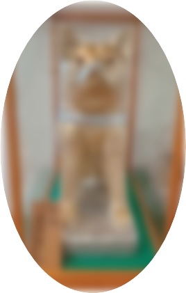 ぜひ実物をご覧ください♪