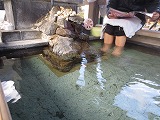 温泉写真：鶴癒の足湯