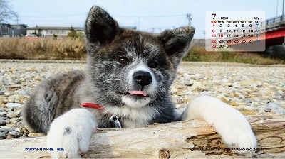 カレンダー7月