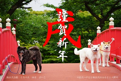 秋田犬年賀状画像