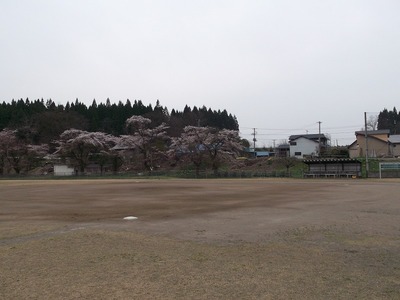 写真：二井田野球場