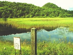 芝谷地概観