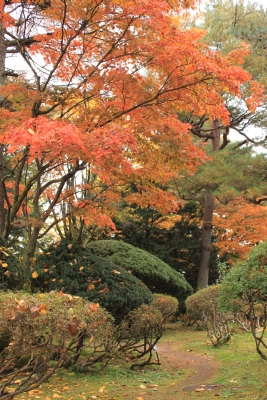 鳥潟会館庭園 紅葉