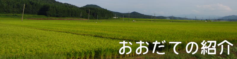 おおだての紹介
