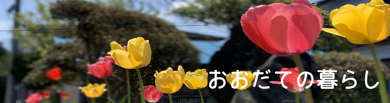 おおだての暮らし [62KB]