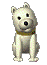 ハチ公