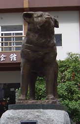 hachikou kaikanmaedouzou.jpg