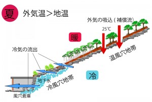 風穴現象のしくみ（夏）