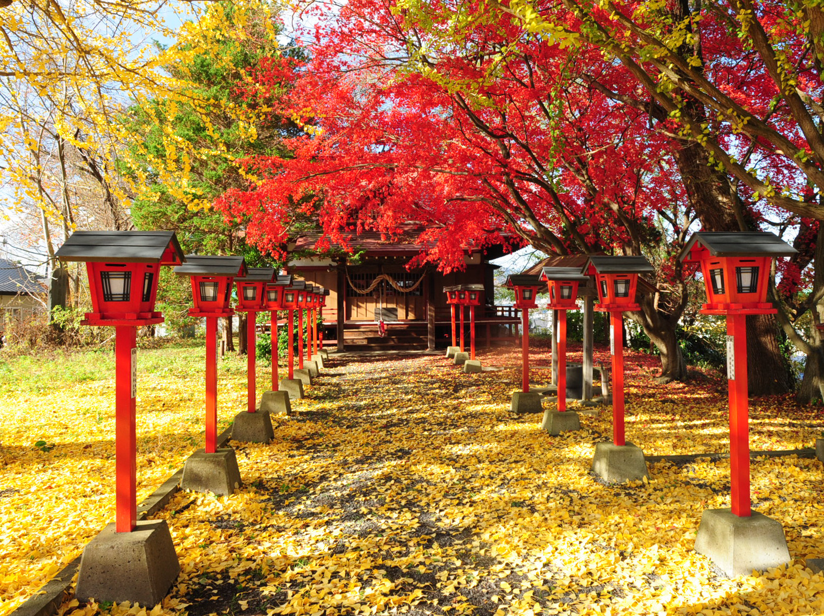  [紅葉の高山稲荷神社]