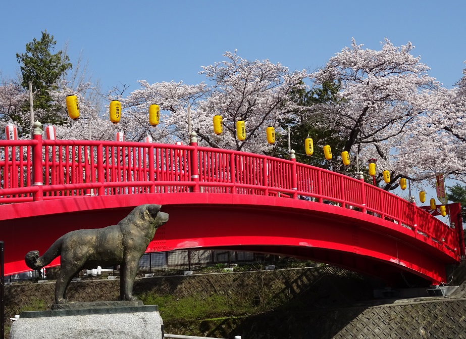 桂城公園（春）.jpg