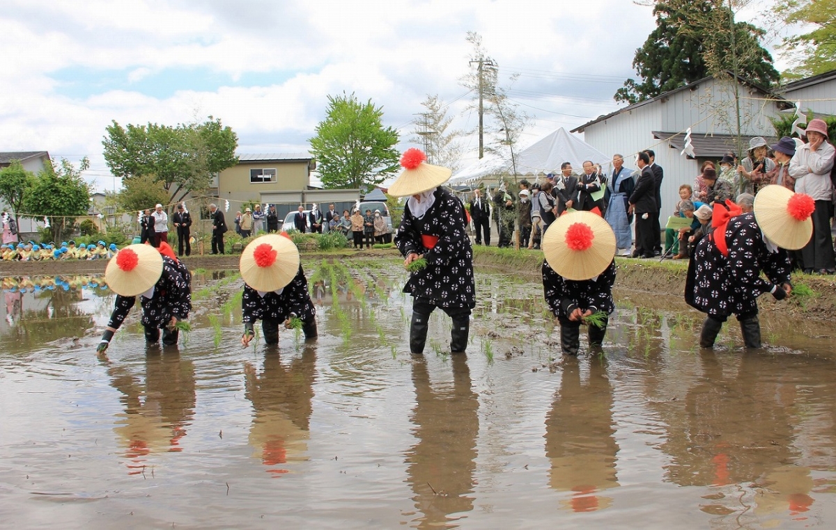 御田植祭５.jpg