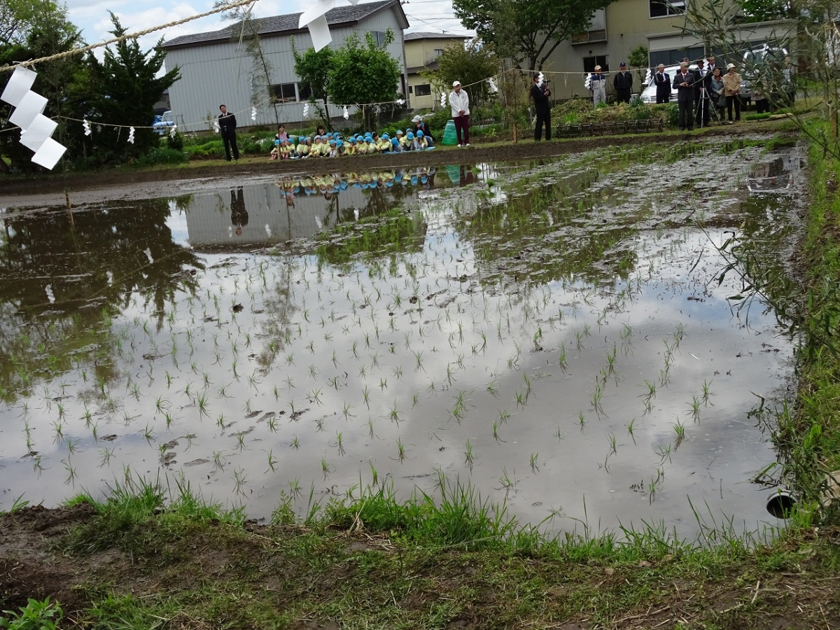 御田植祭１１.jpg