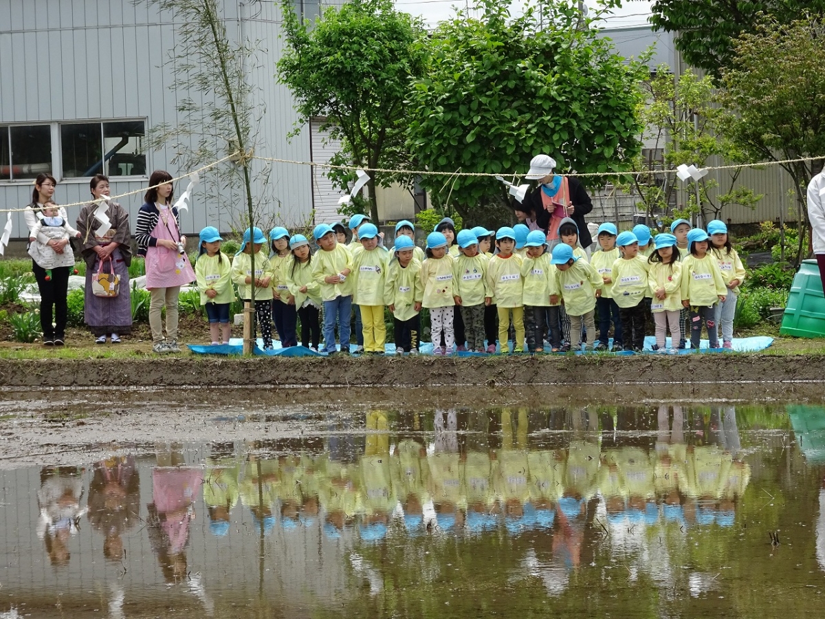 御田植祭１０.jpg
